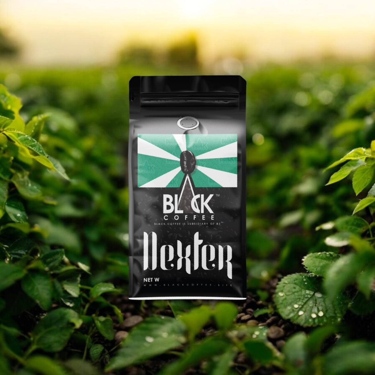  قهوه اسپشیالتی اتیوپی منطقه گوجی فراوری نچرال بلک کافی دکستر 